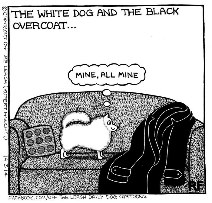 Funny Dog Cartoons