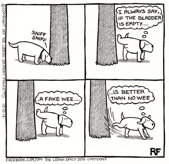 Funny Dog Cartoons