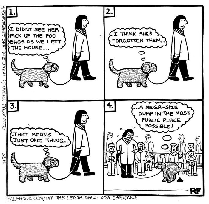 Funny Dog Cartoons