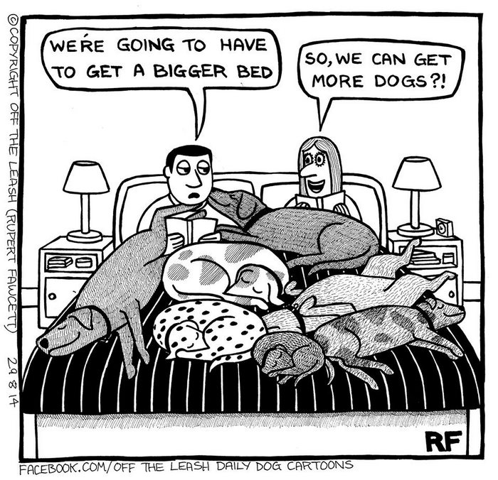 Funny Dog Cartoons