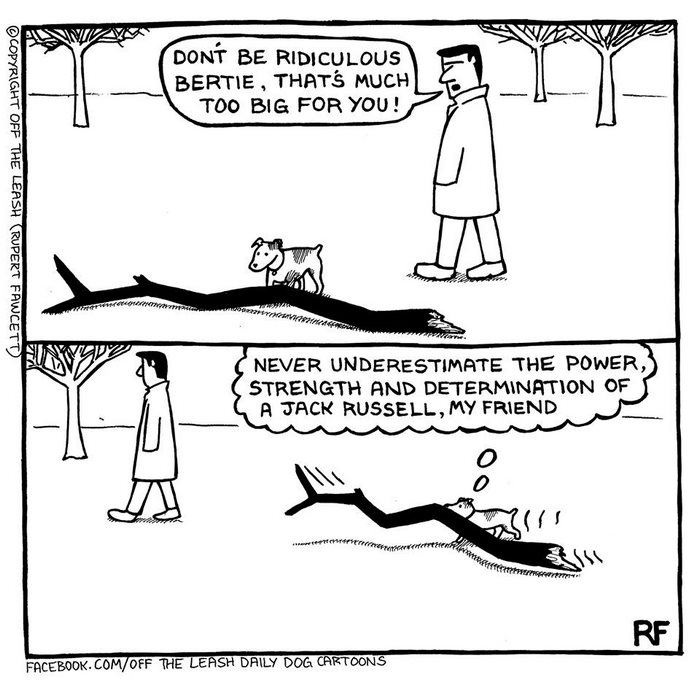 Funny Dog Cartoons