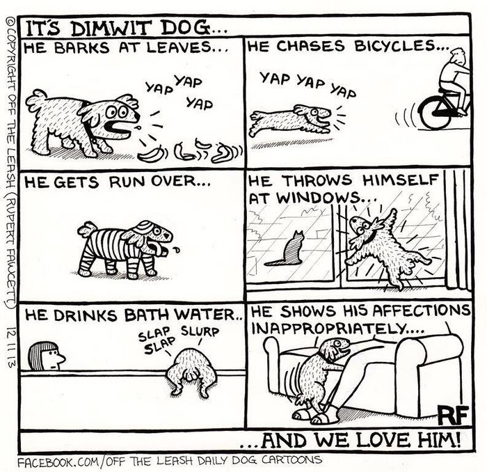 Funny Dog Cartoons