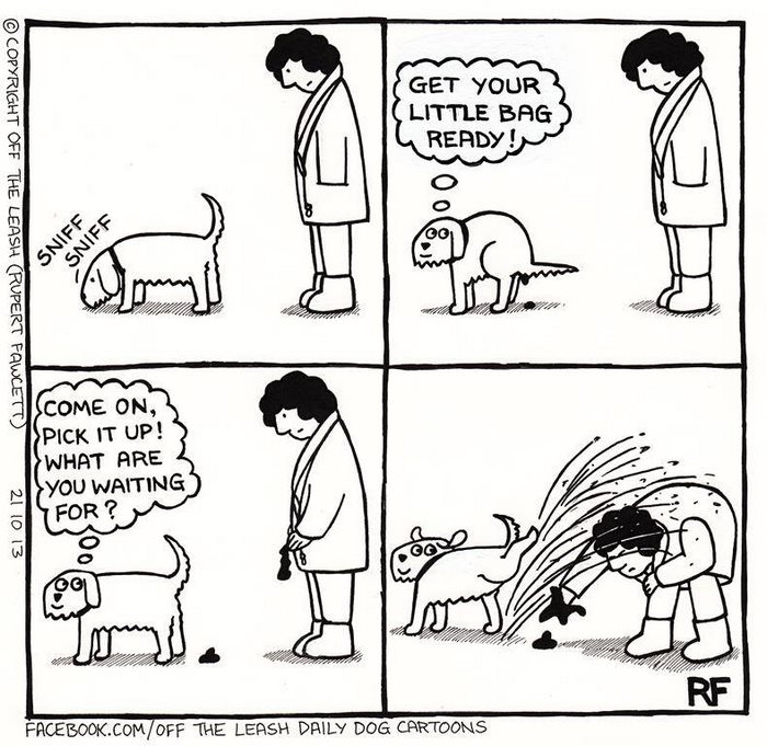 Funny Dog Cartoons