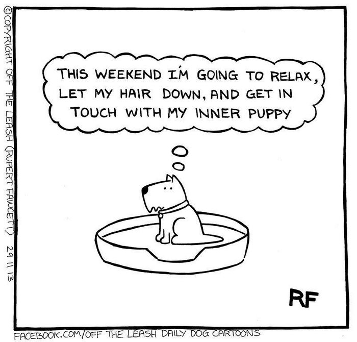 Funny Dog Cartoons