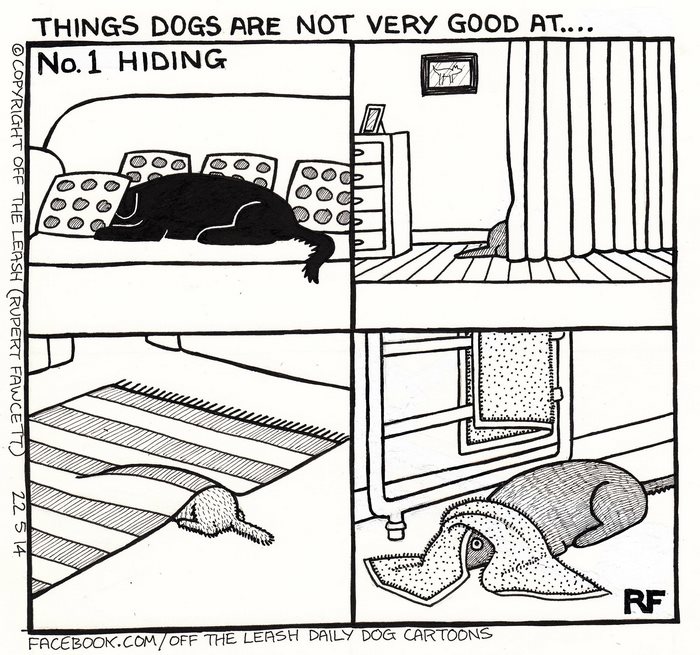 Funny Dog Cartoons