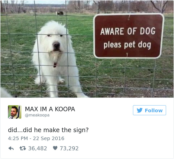 Dog Tweets