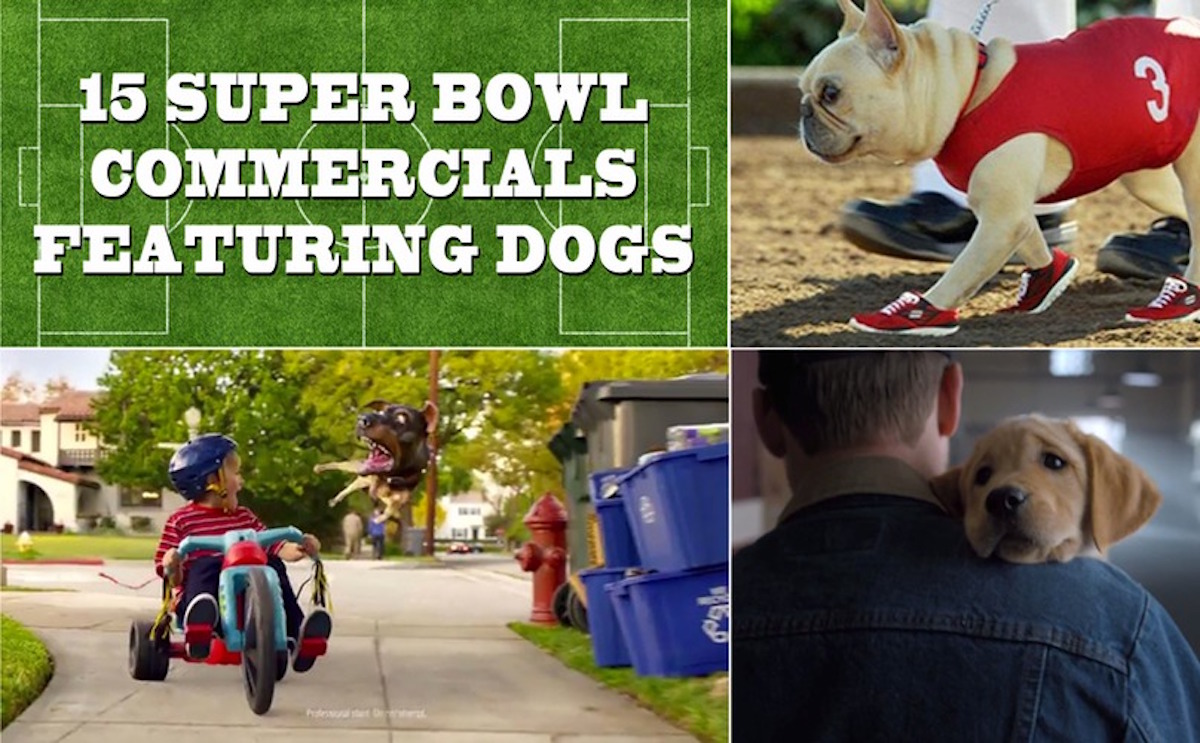 [Video] 15 Super Bowl Commercials Featuring Dogs And Puppies