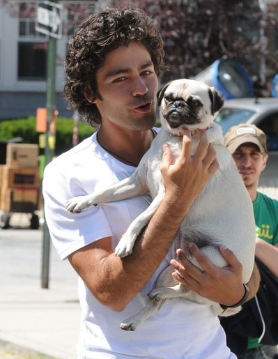 Adrian Grenier pug