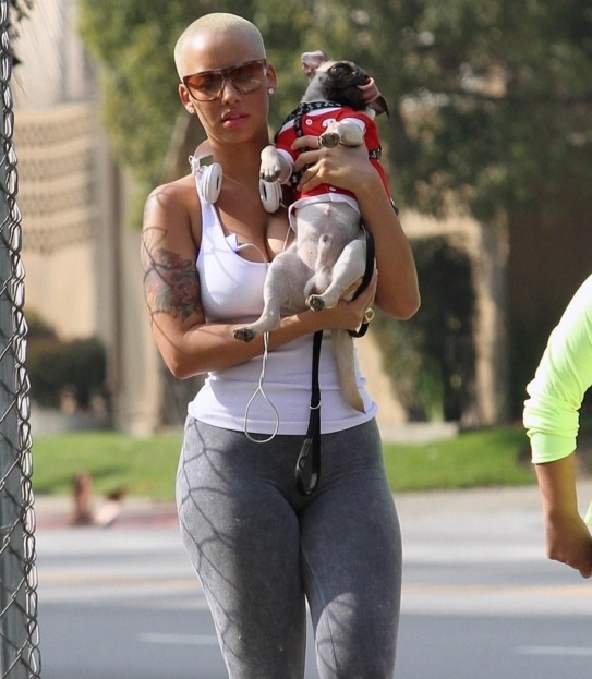 Amber Rose and pug