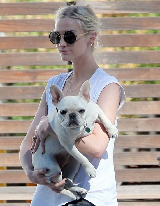 Ashlee Simpson dog