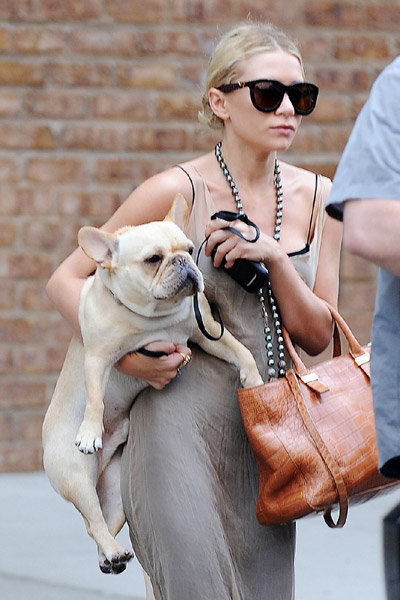 Ashley Olsen dog