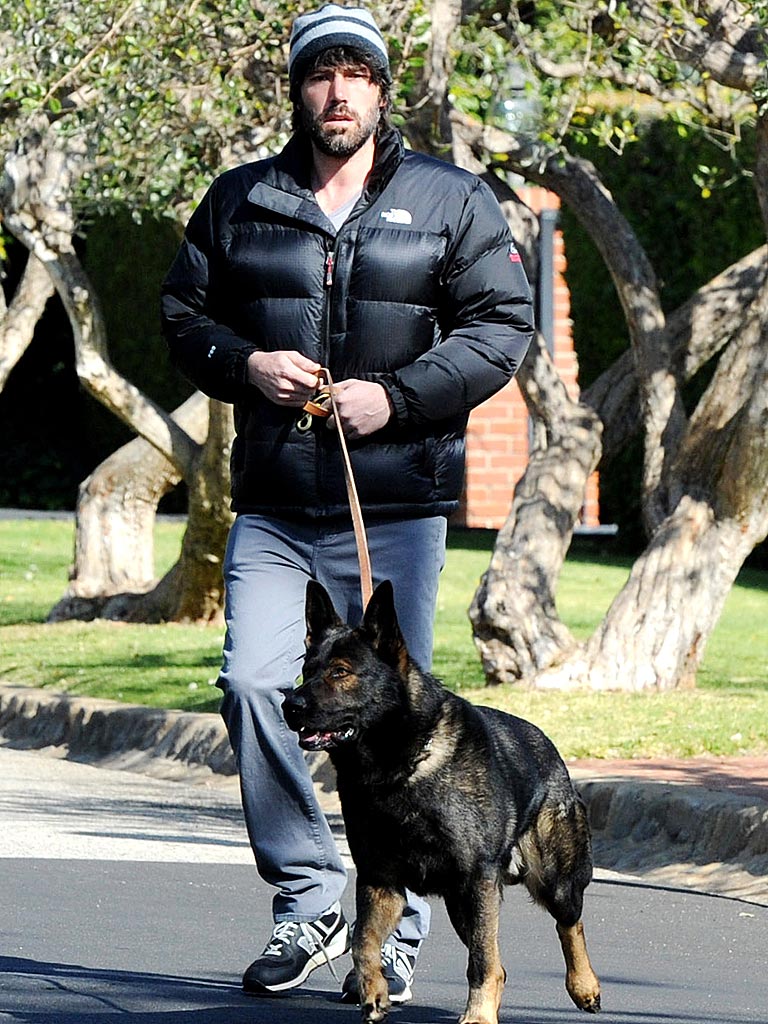 Ben Affleck german shepherd