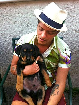 Bruno Mars rottweiler