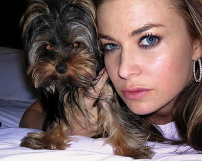 Carmen Electra yorkie