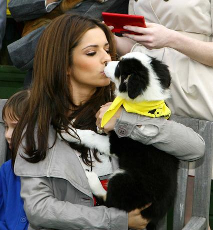 Cheryl Cole and Border Collie
