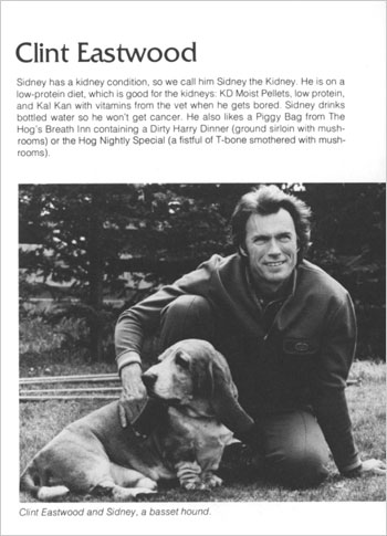 Clint Eastwood with basset hound