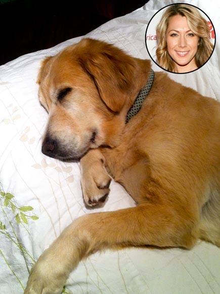 Colbie Caillat golden retriever