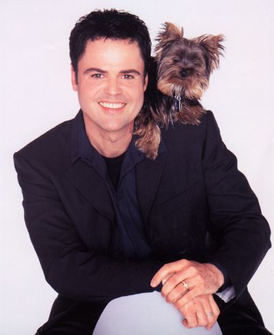 Donnie Osmond yorkshire terrier