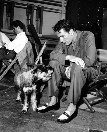 Errol Flynn dog