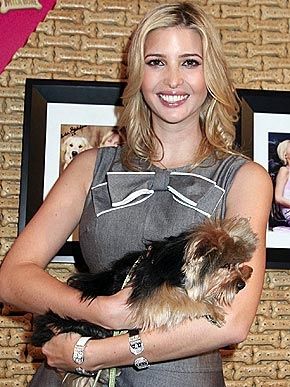 Ivanka Trump yorkie