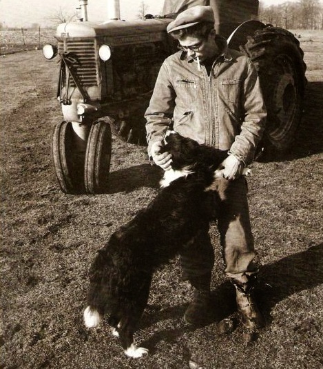 James Dean dog