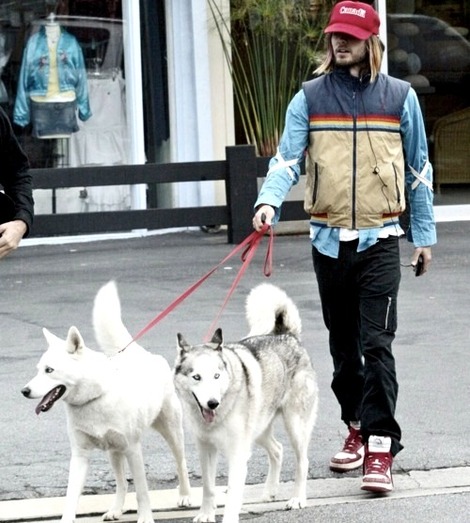 Jared Leto and Huskies