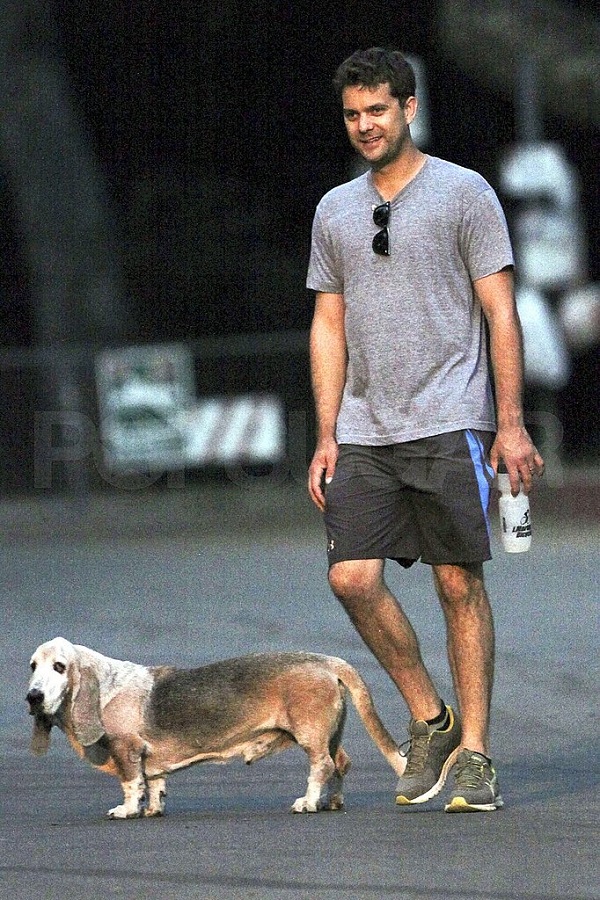 Joshua Jackson basset hound