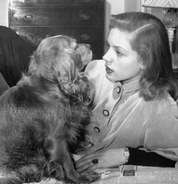 Lauren Bacall spaniel