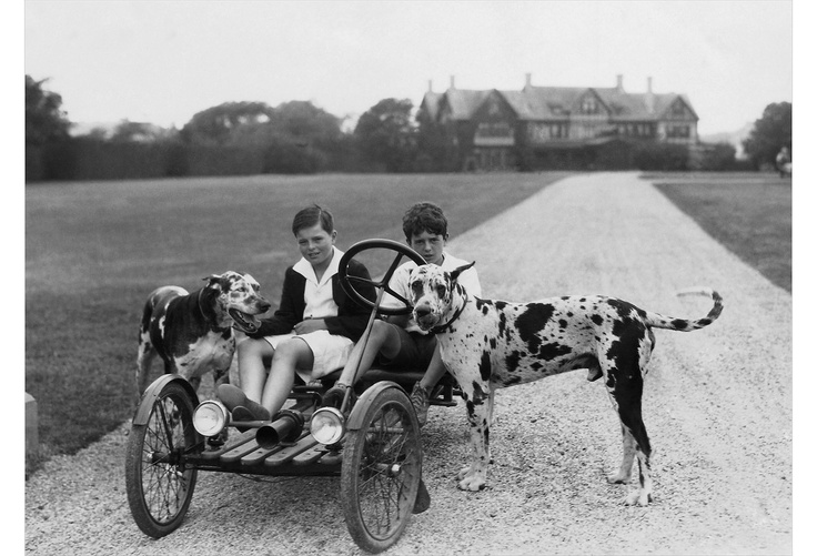 Mark Preston with great danes