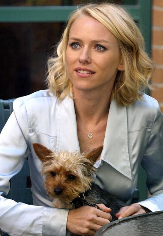 Naomi Watts yorkie