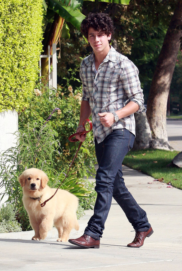 Nick Jonas golden retriever