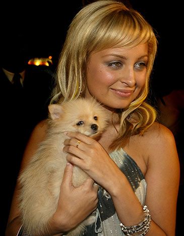 Nicole Richie pomeranian