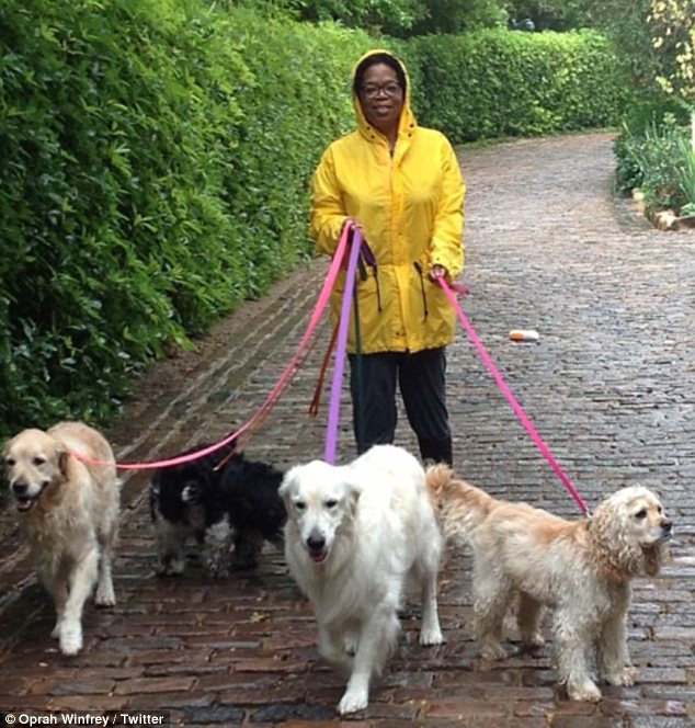 Oprah Winfrey with dogs