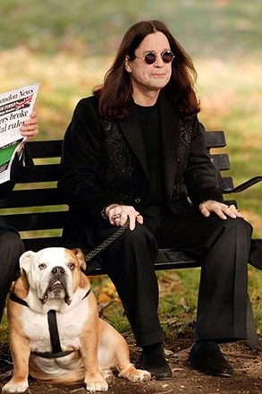 Ozzy Osbourne bulldog