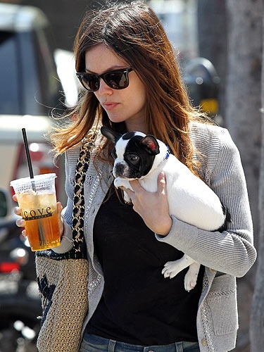 Rachel Bilson dog