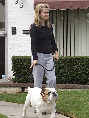 Reese Witherspoon bulldog