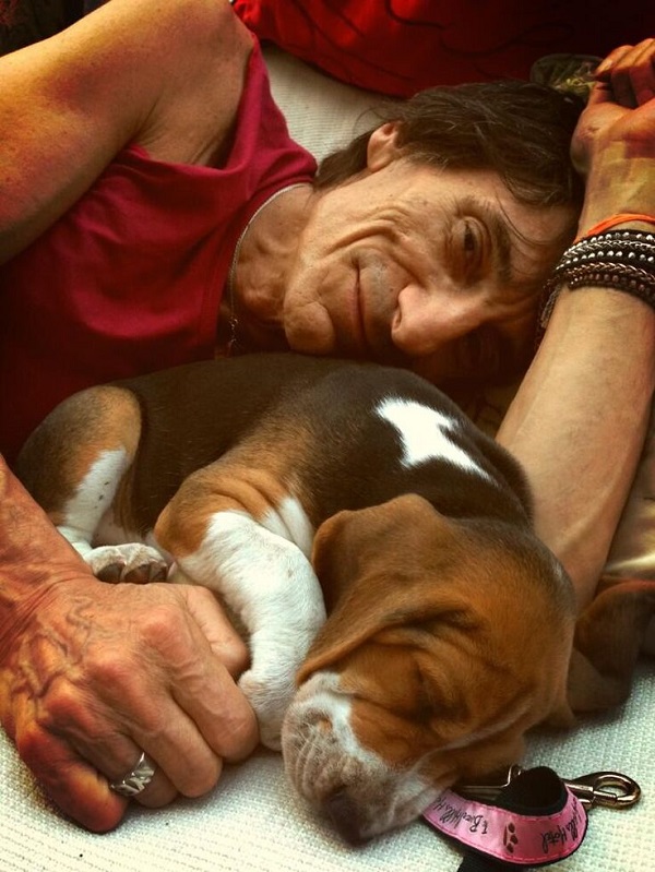 Ronnie Wood basset hound