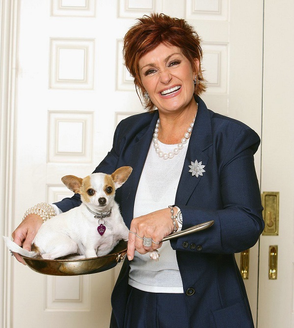 Sharon Osbourne chihuahua