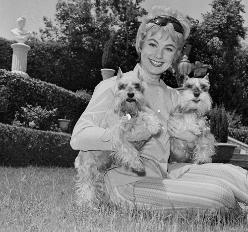 Shirley Jones dogs