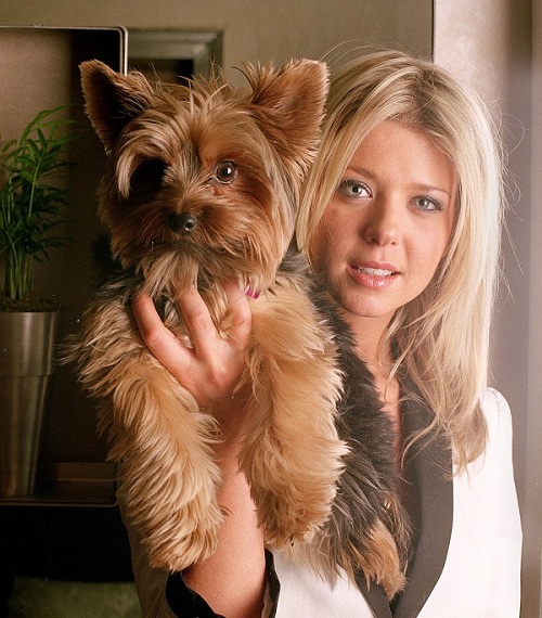 Tara Reid yorkie