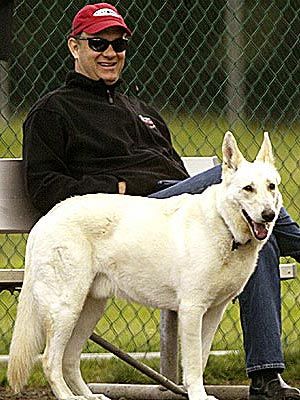 Tom Hanks white GSD