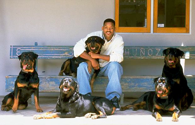 Will Smith rottweilers