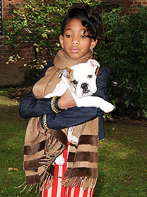 Willow Smith bulldog