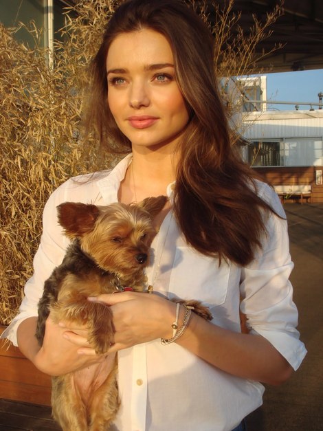 miranda-kerr-yorkie