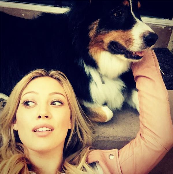 Hilary Duff with her dog Jak