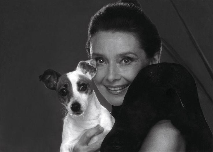 Audrey Hepburn Jack Russell