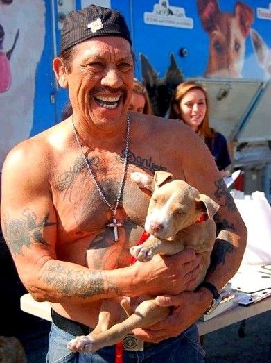 Danny Trejo pit bull puppy