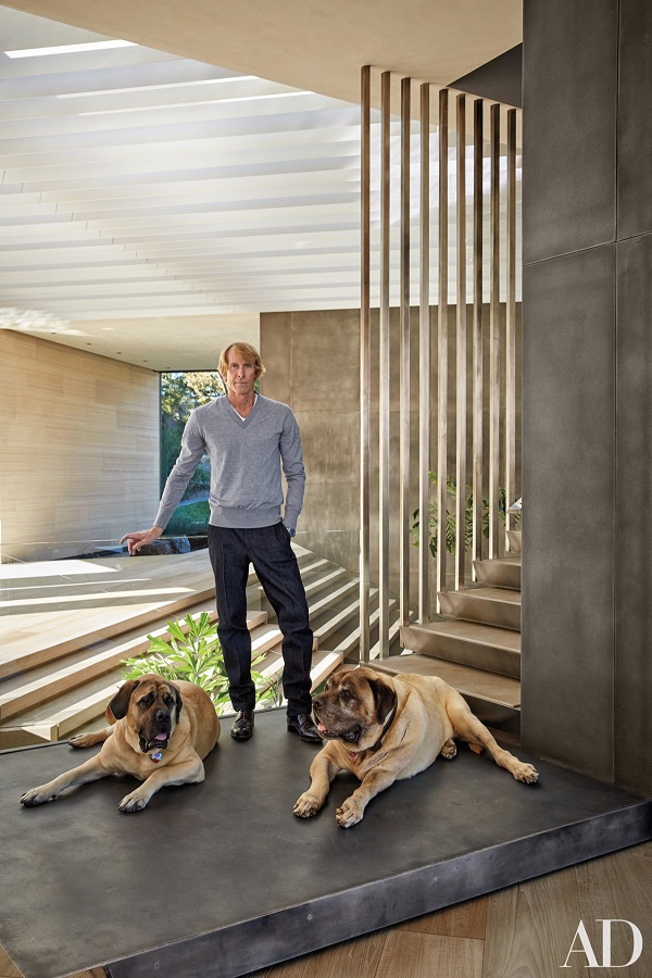 Michael Bay with mastiffs