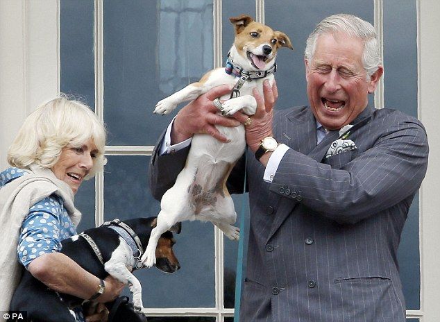 Prince Charles Jack Russell