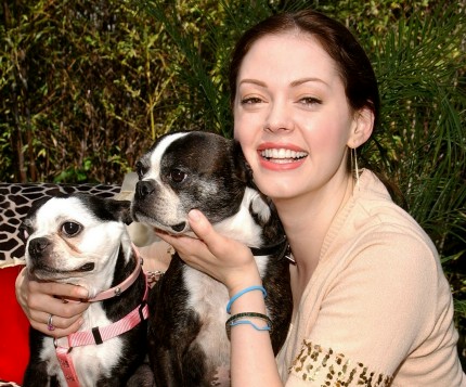 Rose McGowan dog